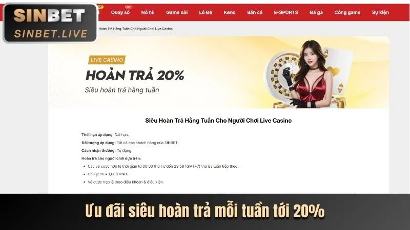 Trải nghiệm casino trực tuyến chân thực